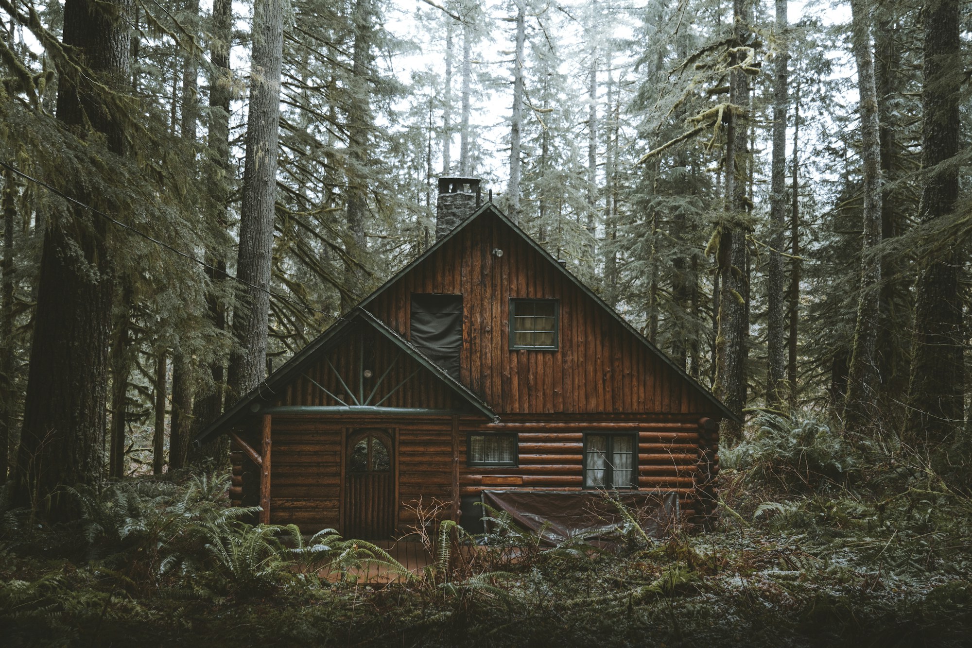 Casa de montaña de madera en un bosque brumoso